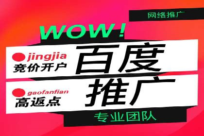 百度推广代运营案例：精准营销助力业绩增长