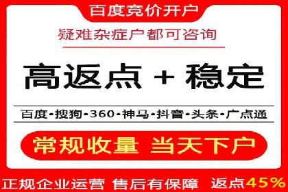 某电商平台的SEM广告投放策略及效果评估
